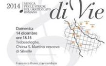 2014-12-14 Armonia di Vie - concerto musica classica