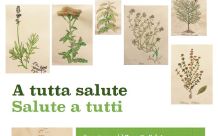 2016-04-11 Progetto Salute classi seconde ICS Ponti - A tutta salute, Salute a tutti