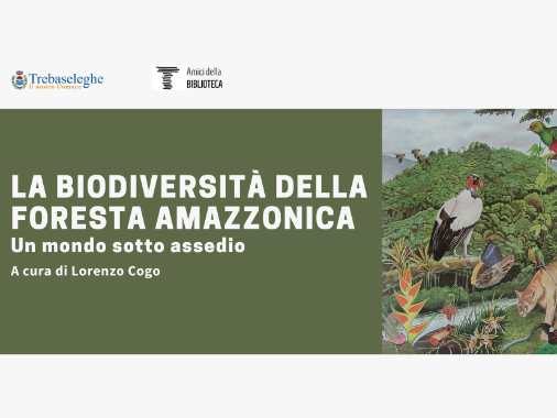 La biodiversità della foresta amazzonica. Un mondo sotto assedio