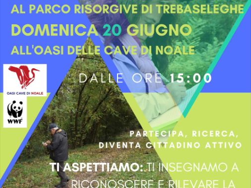 Progetto di ricerca europeo MICS: iniziative di formazione sul rilevamento della copertura vegetale nell'Oasi delle Cave di Noale e nel Parco delle Risorgive.