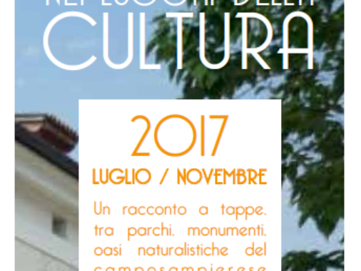 Nei luoghi della cultura