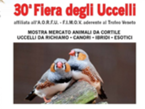 Fiera degli Uccelli