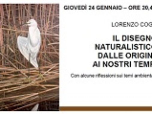 Lorenzo Cogo e il disegno naturalistico