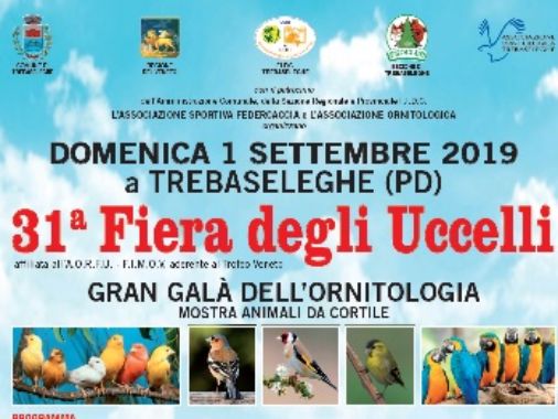 31° Fiera degli Uccelli