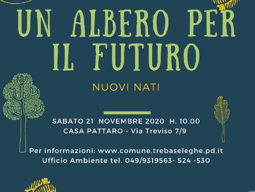 Un albero per il futuro 