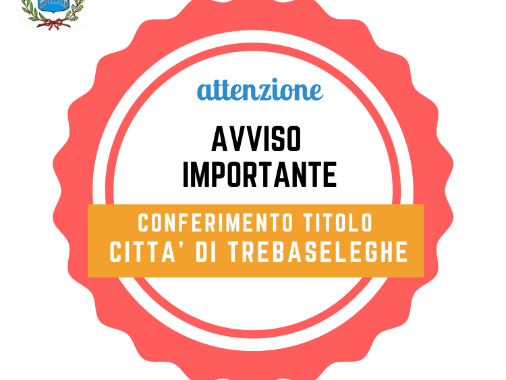 Conferimento titolo "Città di Trebaseleghe"