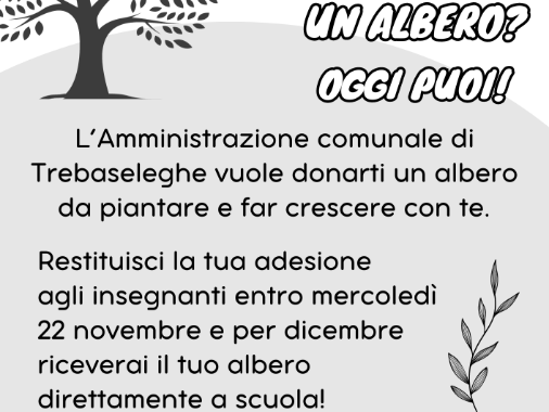 Fai crescere un albero